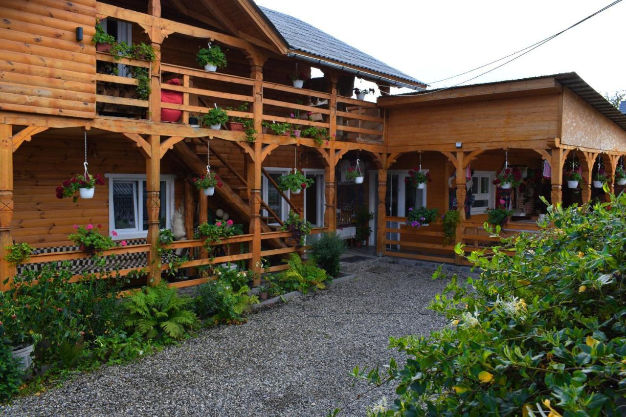 Casa Vladicu Hotel Breb Exterior foto