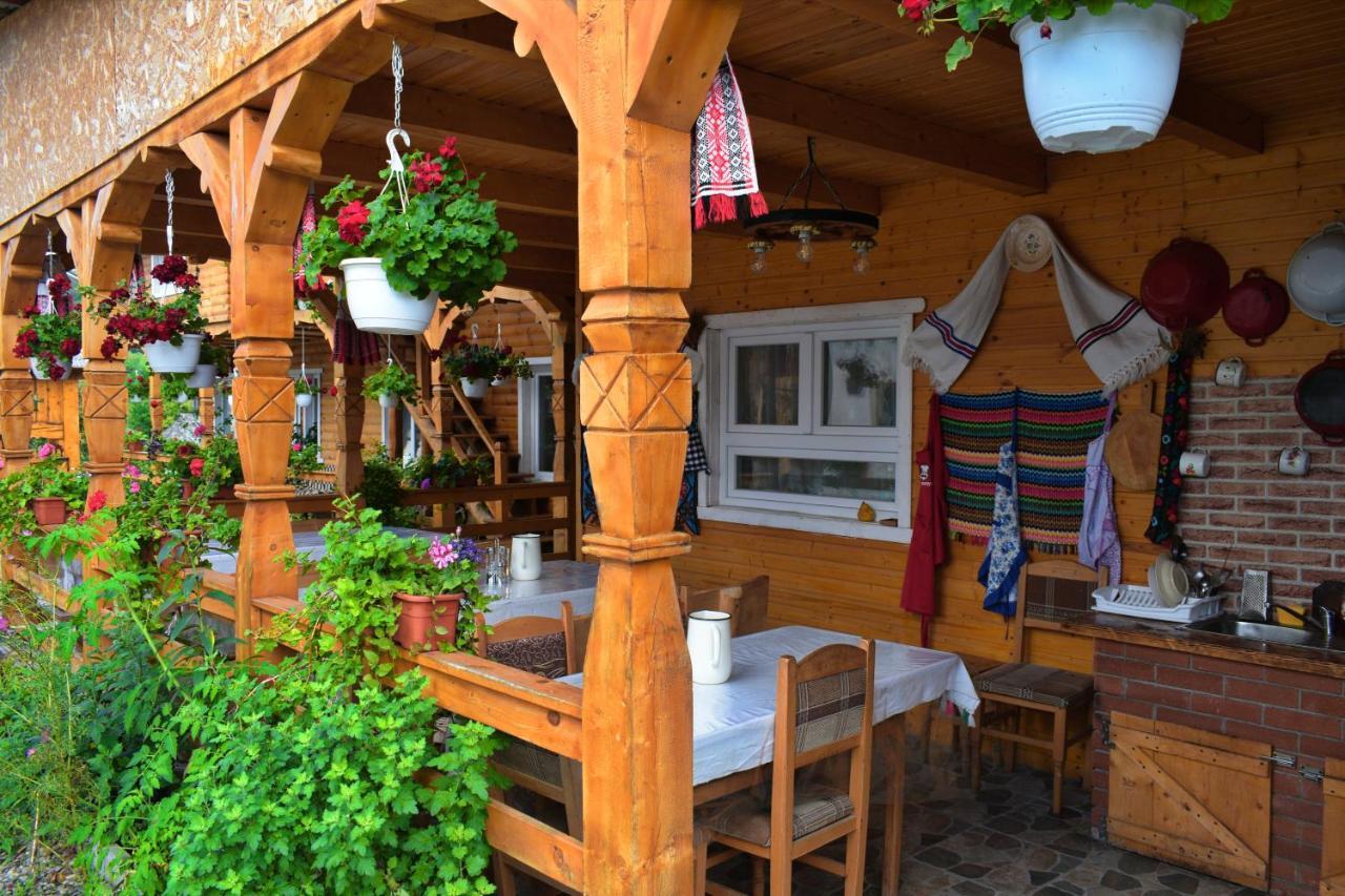 Casa Vladicu Hotel Breb Exterior foto